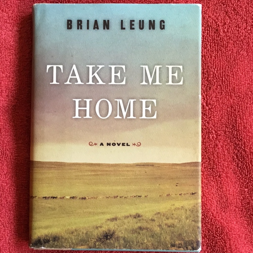 Take Me Home, by Brian Leung. Hard cover novel.